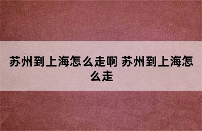 苏州到上海怎么走啊 苏州到上海怎么走